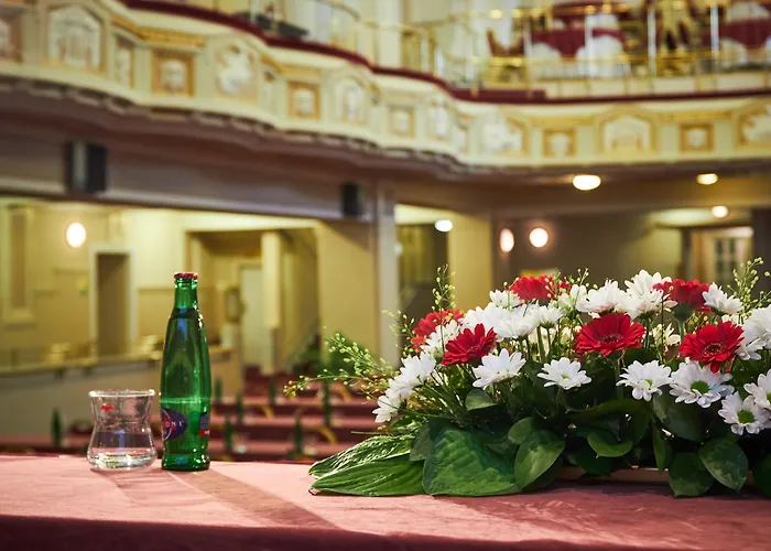 Ambassador Zlata Husa Praag